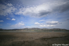 Paysage