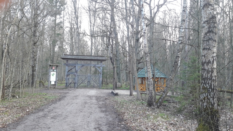Entrée Forêt primaire de Bialowieza