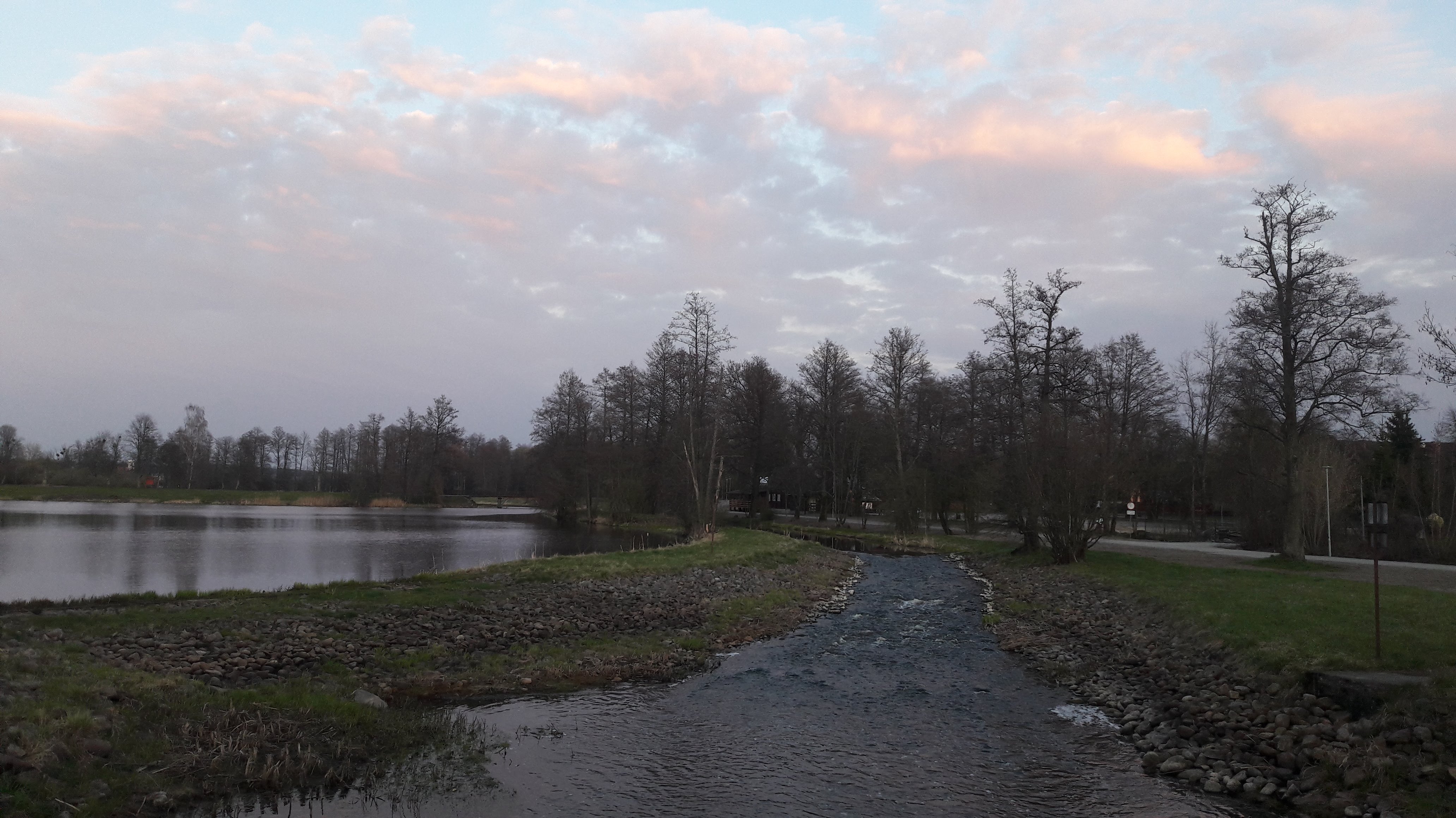 Bialowieza, rivière Narewka