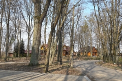 Dyrekcyjny Park, Bialowieza