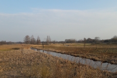 Rivière Narewka, Bialowieza