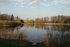 Palace Parc, Bialowieza
