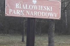 Entrée Forêt primaire de Bialowieza