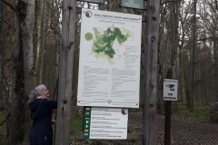Forêt primaire de Bialowieza, visite uniquement guidée