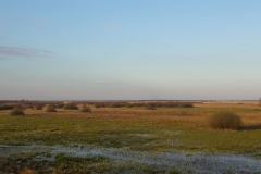 Goniadz, Parc Biebrzanski, Marais de la Biebrza