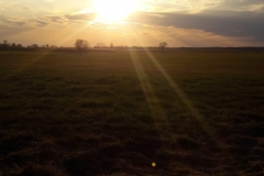 Goniadz, Parc Biebrzanski, Marais de la Biebrza, coucher de soleil