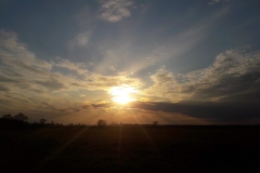 Goniadz, Parc Biebrzanski, Marais de la Biebrza, coucher de soleil