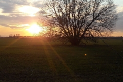 Goniadz, Parc Biebrzanski, Marais de la Biebrza, coucher de soleil