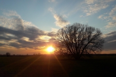 Goniadz, Parc Biebrzanski, Marais de la Biebrza, coucher de soleil