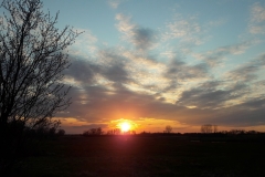 Goniadz, Parc Biebrzanski, Marais de la Biebrza, coucher de soleil