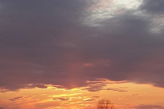 Goniadz, Parc Biebrzanski, Marais de la Biebrza, coucher de soleil