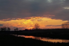 Goniadz, Parc Biebrzanski, Marais de la Biebrza, coucher de soleil