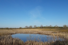 Osowiec, Parc National de Biebrza