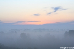 Brume Charente Maritime