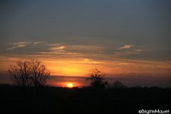 Paysage Charente-maritime