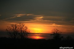 Paysage Charente-maritime