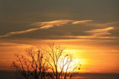 Paysage Charente-maritime