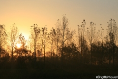 Lever de soleil  Charente Maritime