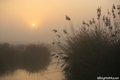 Paysage Charente-maritime