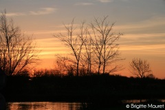 Paysage Charente-maritime