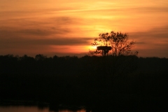 Paysage Charente-maritime