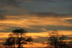 Paysage Charente-maritime