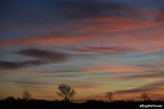 Paysage Charente-maritime