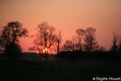 Paysage Charente-maritime